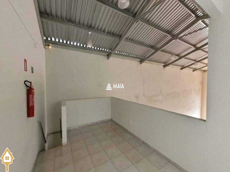 Fotos