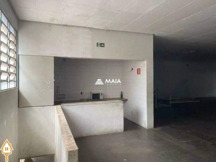 Fotos
