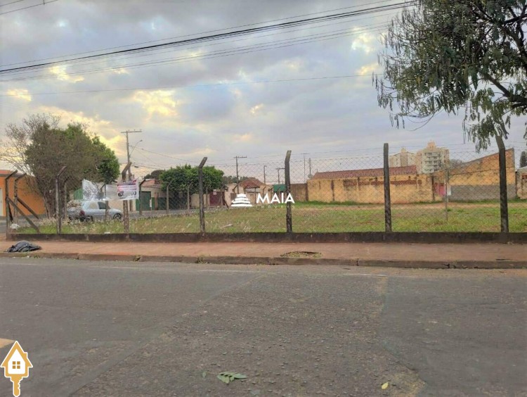 Fotos