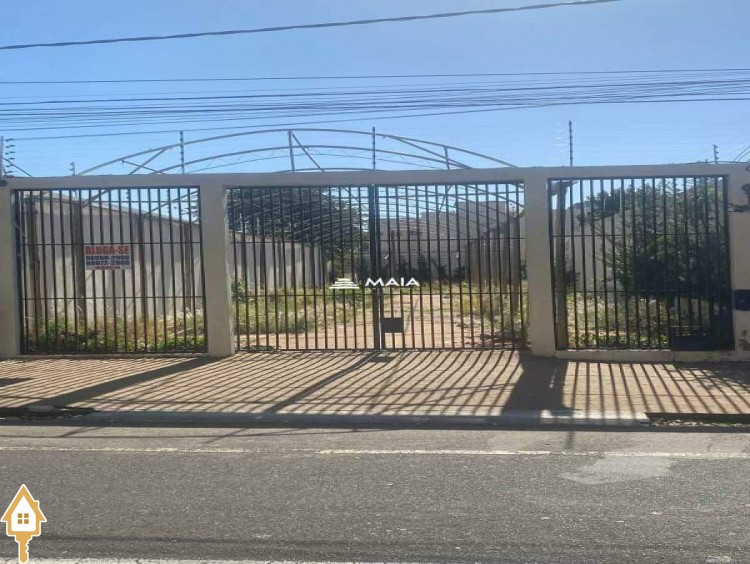 Fotos