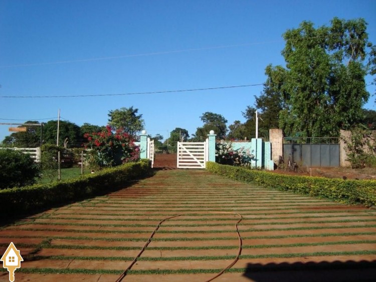 Fotos