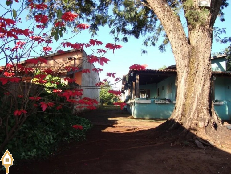 Fotos