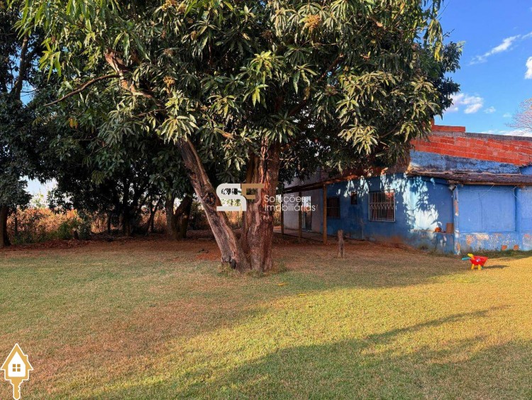 Fotos