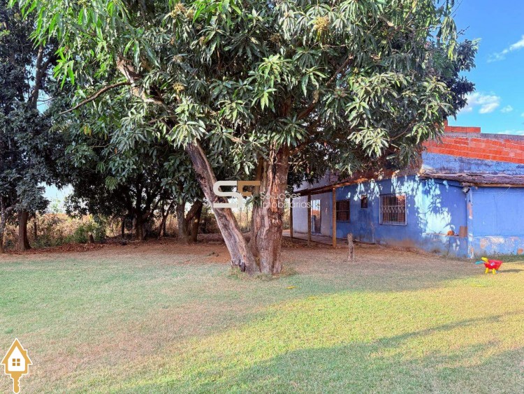 Fotos