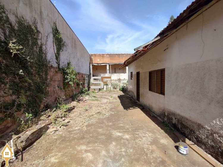 Fotos
