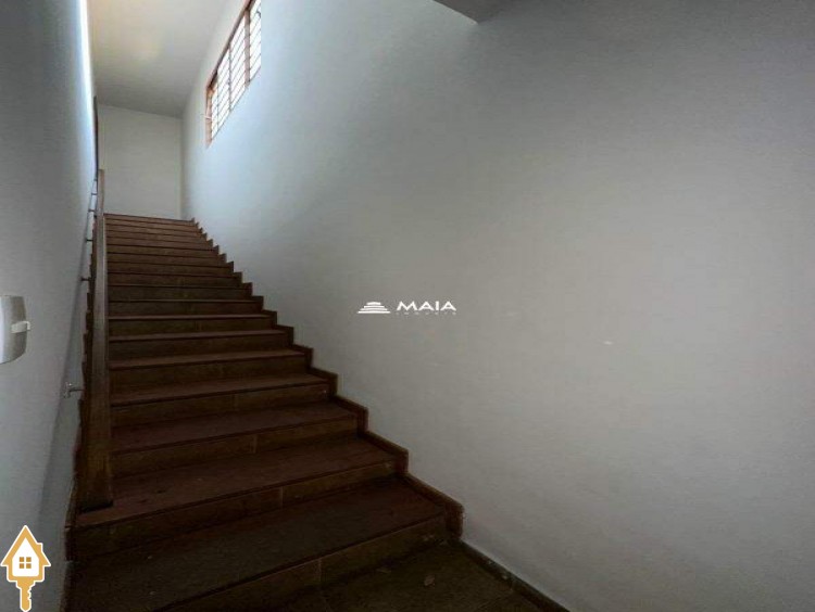 Fotos