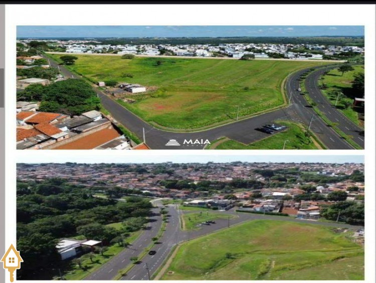 Fotos