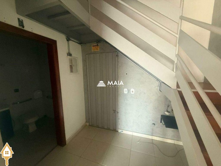 Fotos