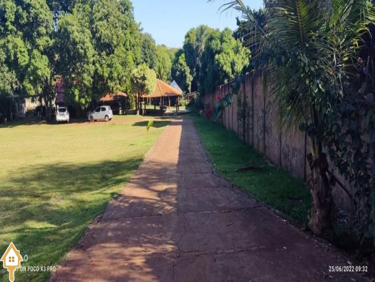 Fotos