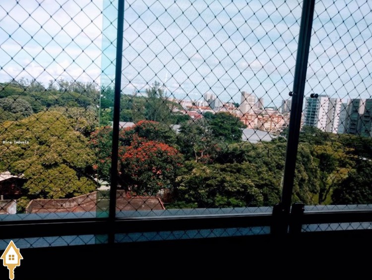 Fotos