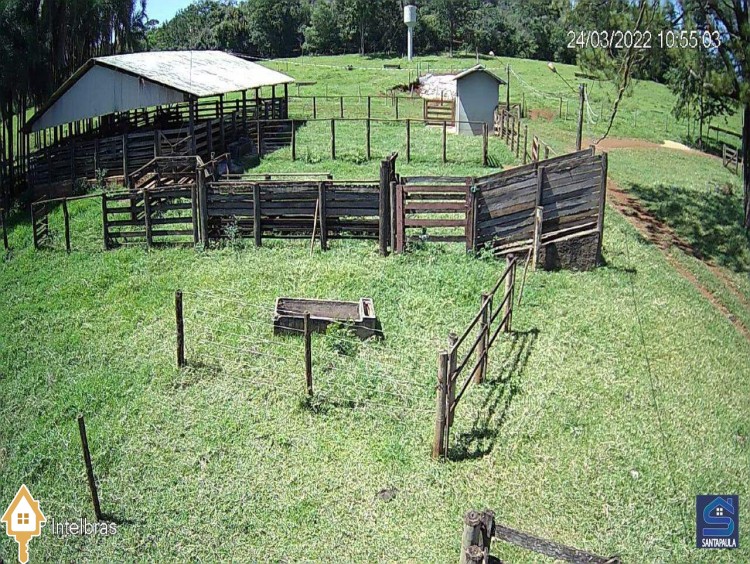 Fotos