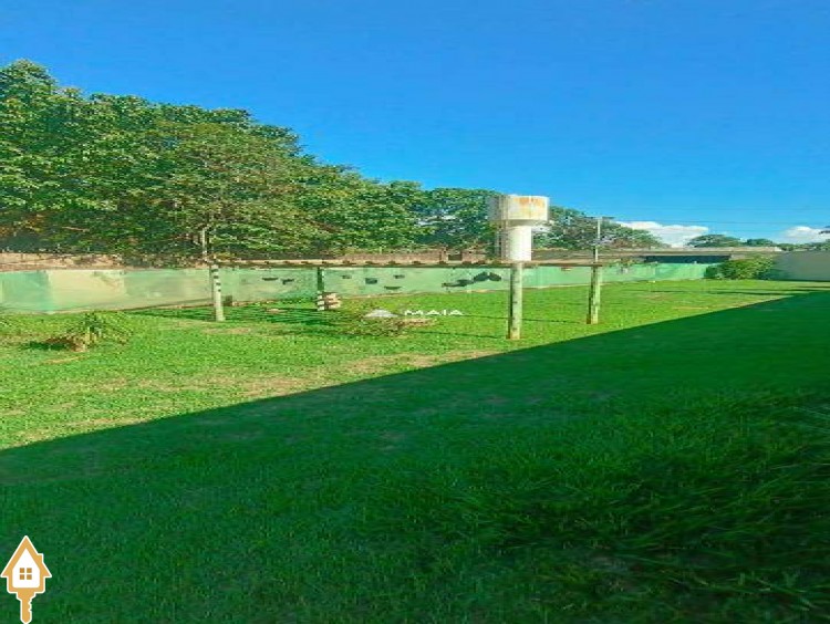 Fotos