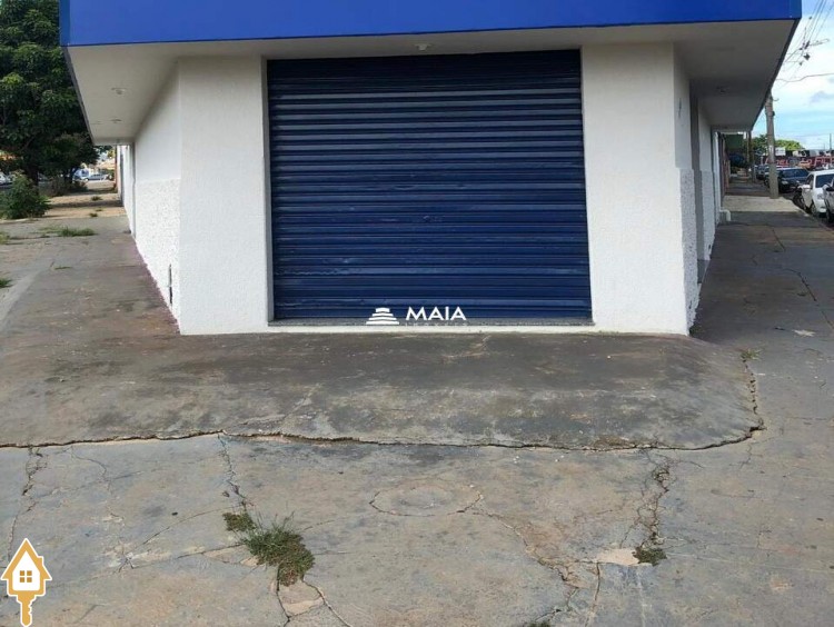 Fotos