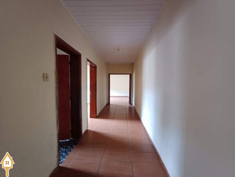 Fotos