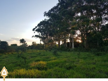 vende-se-terrenoarea-sao-basilio-chacaras-uberaba-105902