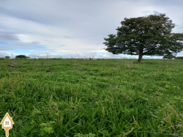 vende-se-fazenda-rural-uberaba-108126
