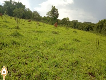 vende-se-fazenda-rural-campo-florido-108997