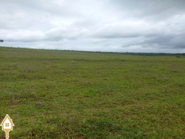 vende-se-chacara-sitios-fazenda-santa-rosa-uberaba-111474