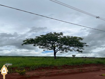vende-se-terrenoarea-chacara-sitios-rural-uberaba-111691