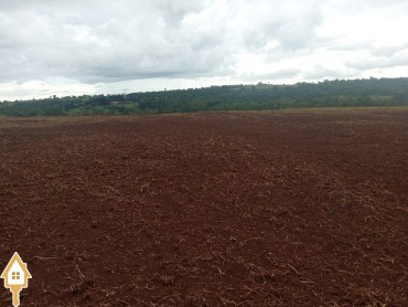 vende-se-chacara-sitios-rural-uberaba-111806