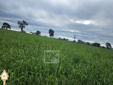 vende-se-chacara-sitios-fazenda-rural-uberaba-140755