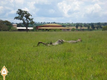 vende-rural-chacara-sitios-rural-rural-mg-mg-45927