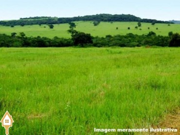 vende-rural-chacara-sitios-volta-grande-uberaba-mg-45906