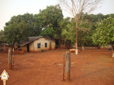 vende-rural-chacara-sitios-rural-uberaba-mg-51139