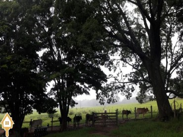 vende-rural-chacara-sitios-rural-uberaba-mg-54086