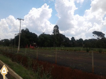 vende-se-chacara-sitios-rural-uberaba-54914