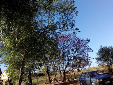 vende-se-chacara-sitios-rural-uberaba-65012