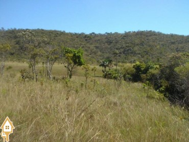 vende-se-fazenda-rural-rural-go-48836