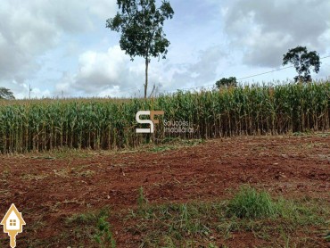 vende-se-chacara-sitios-rural-rural-mg-141129
