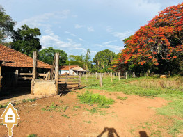 vende-se-chacara-sitios-rural-uberaba-155229