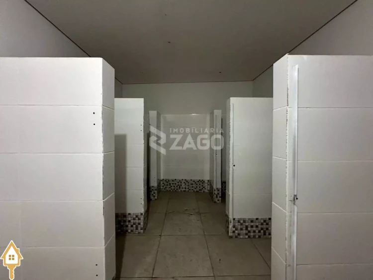 Fotos