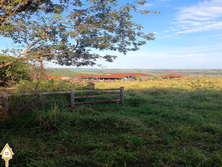 Fotos