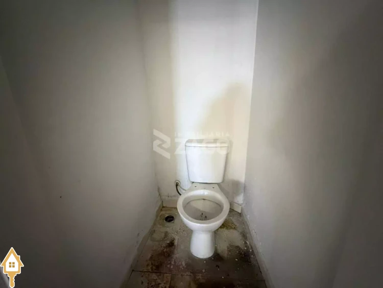 Fotos