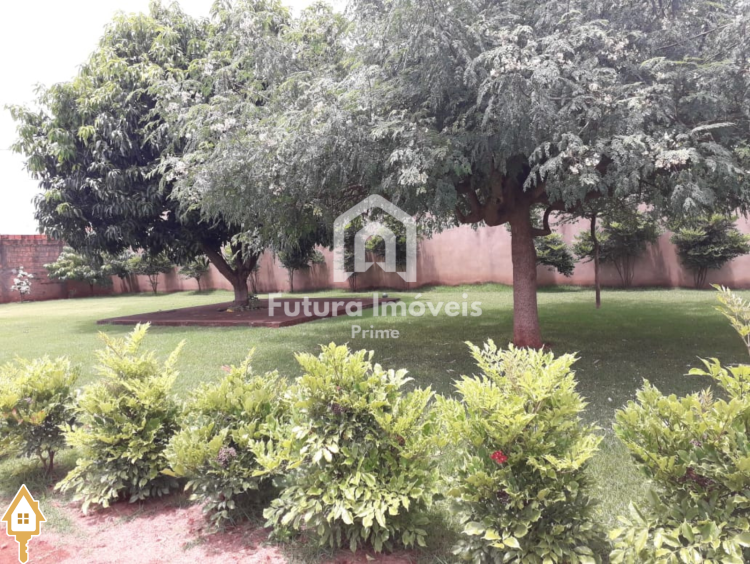 Fotos