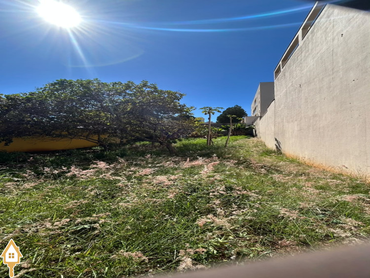 Fotos