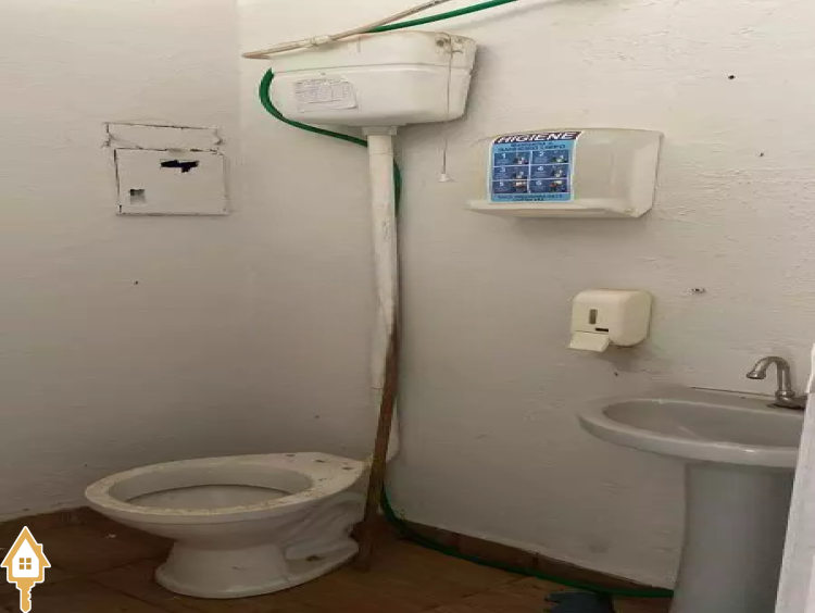 Fotos