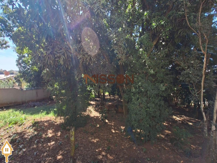 Fotos