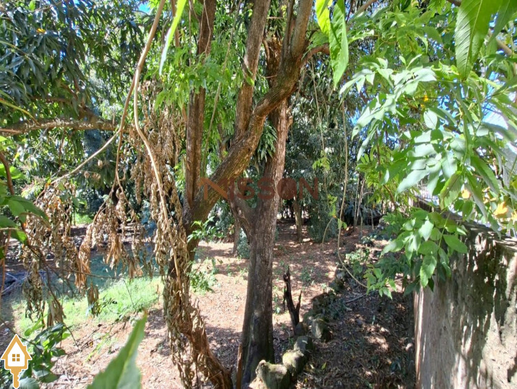 Fotos