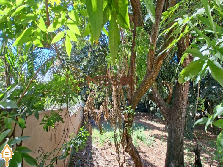 Fotos