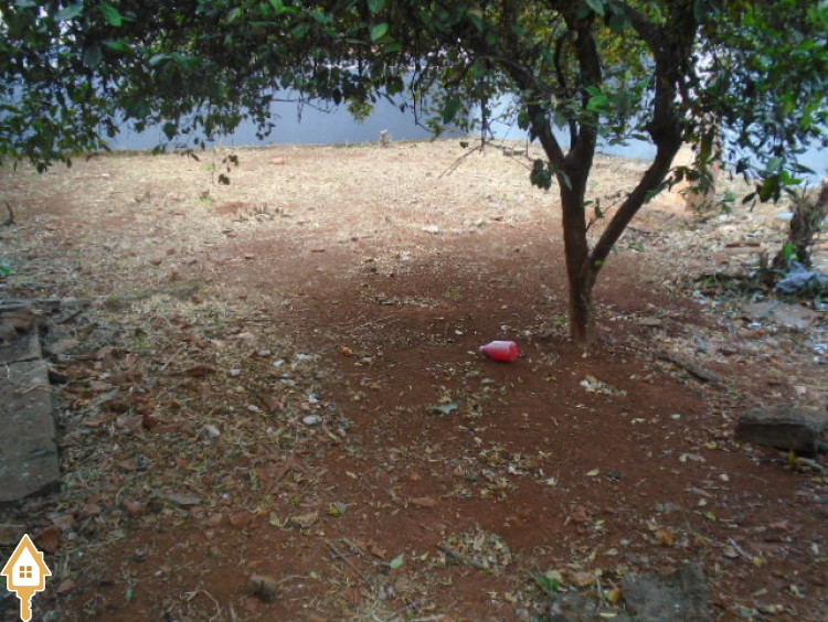 Fotos
