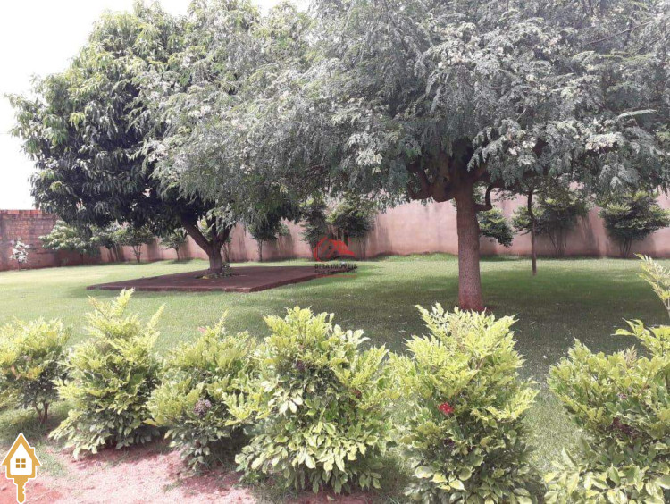Fotos