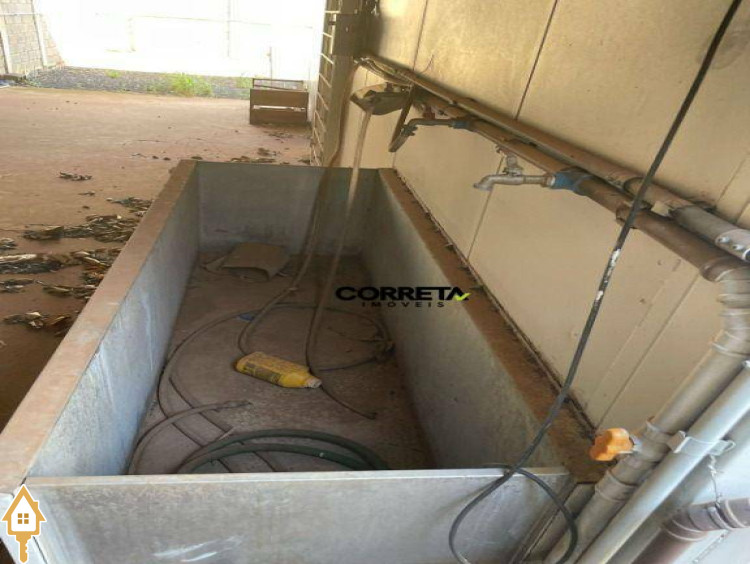 Fotos