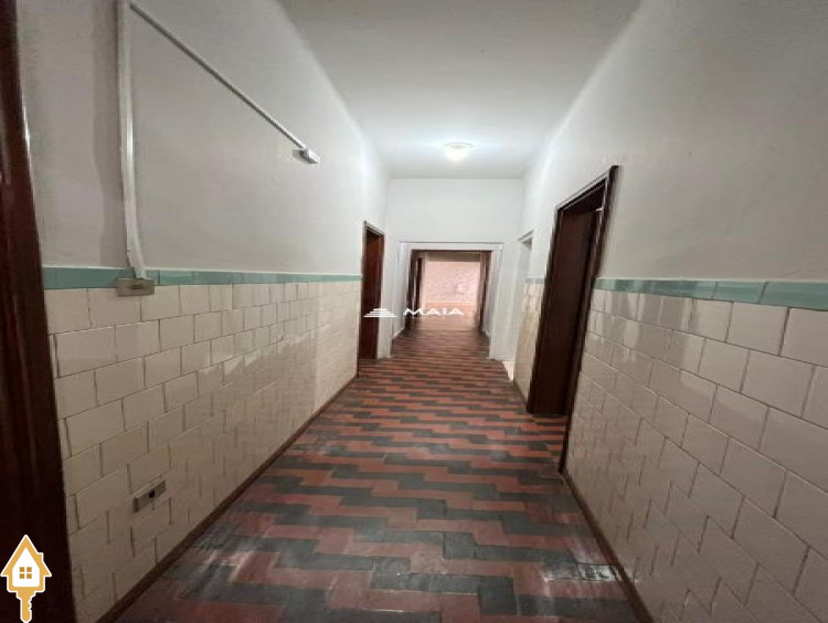 Fotos