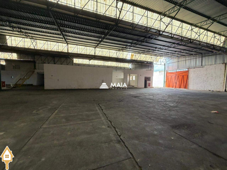Fotos