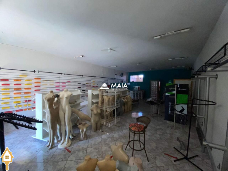 Fotos
