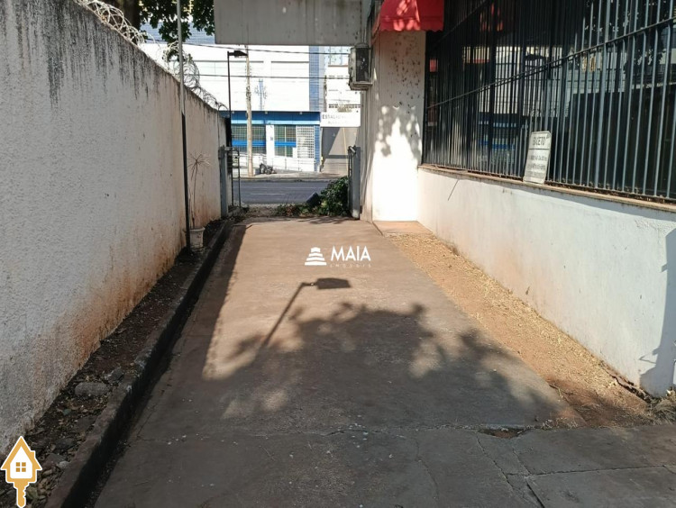 Fotos
